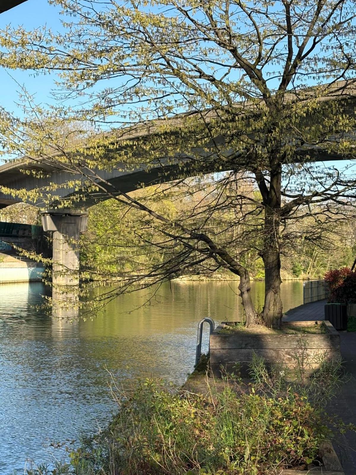 Escale-Marne Fr - 202 - Free Parking - Free Luggage Storage - All Equipped - Linen Included - Washing Machine - 10Mn Walk Metro 8 - Rer A - Panoramic View - From 1 To 14 Guests Maisons-Alfort Luaran gambar